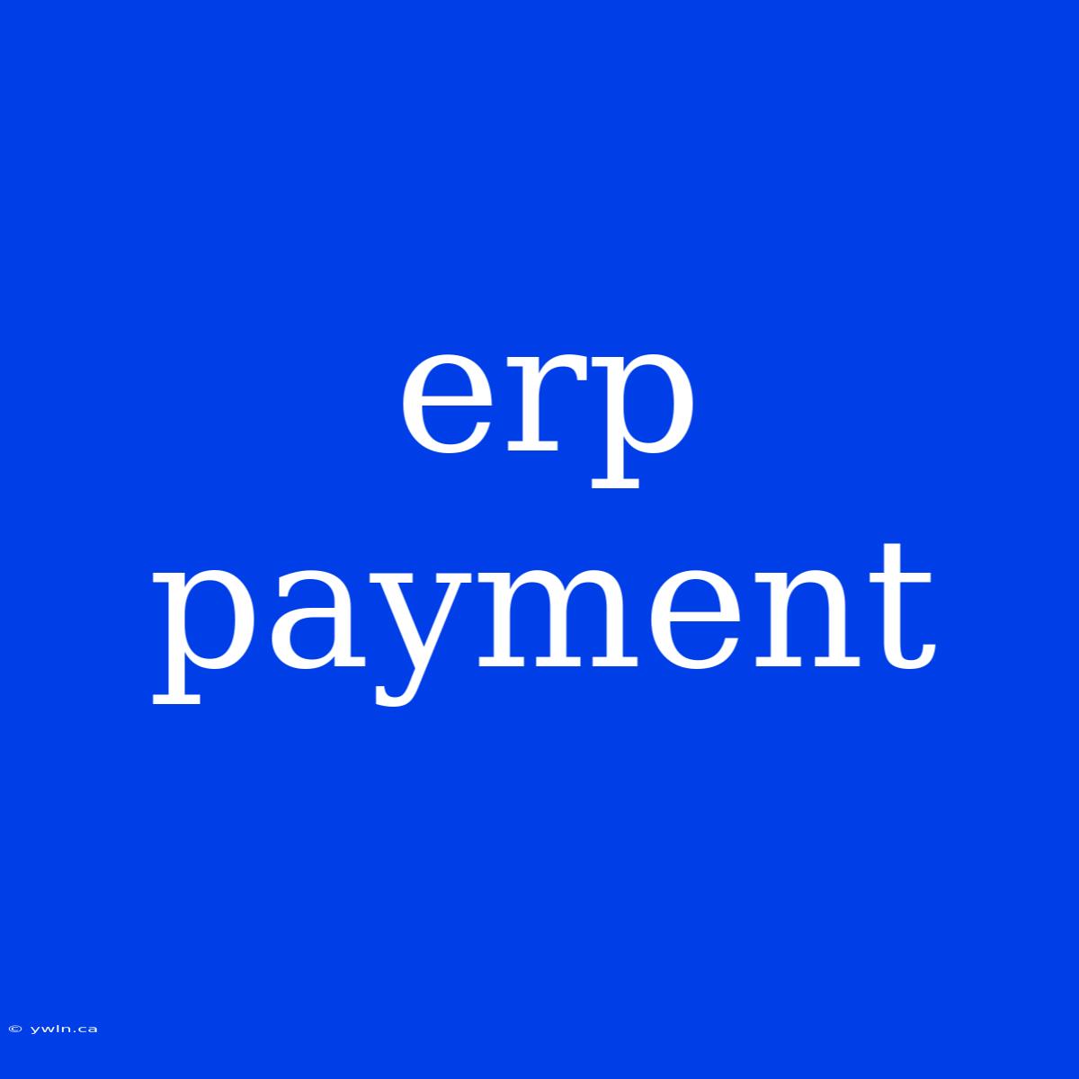 Erp Payment