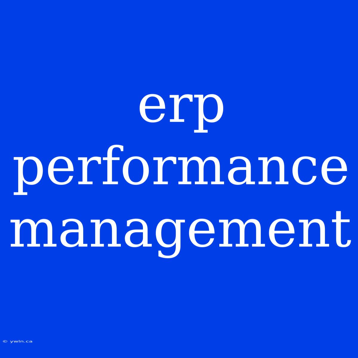 Erp Performance Management