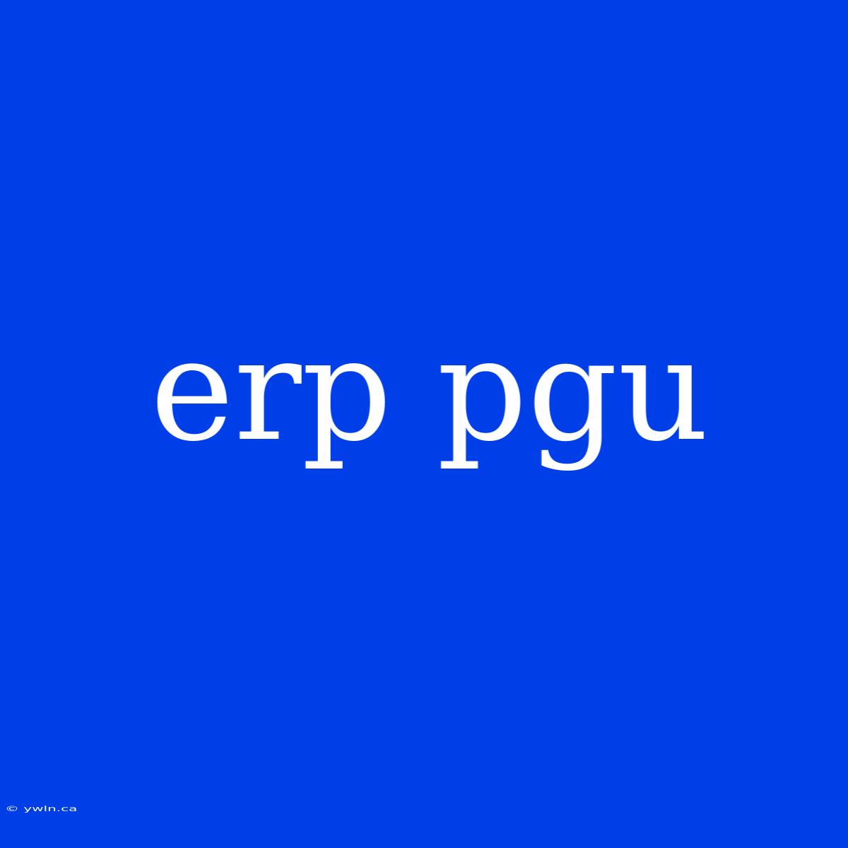 Erp Pgu