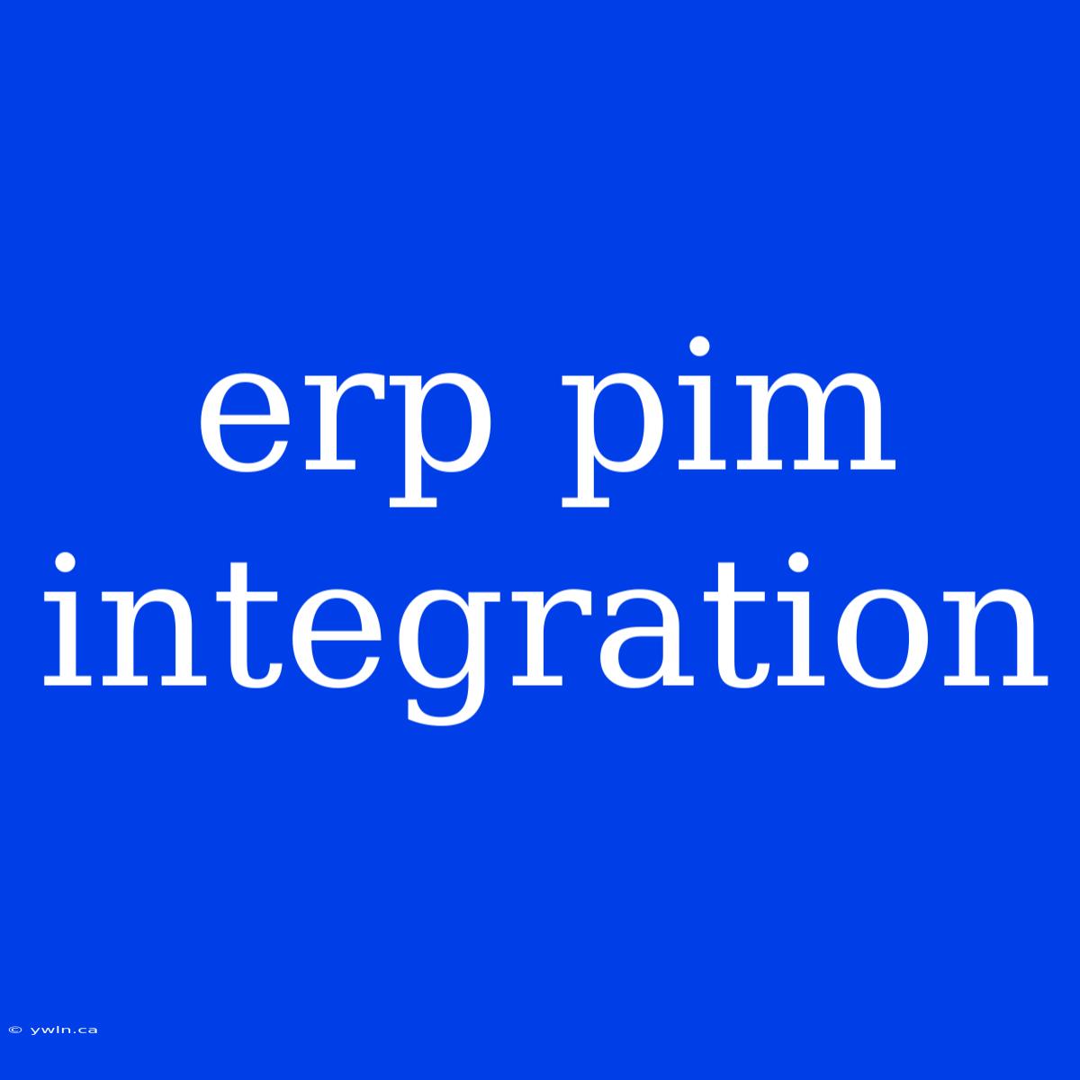 Erp Pim Integration