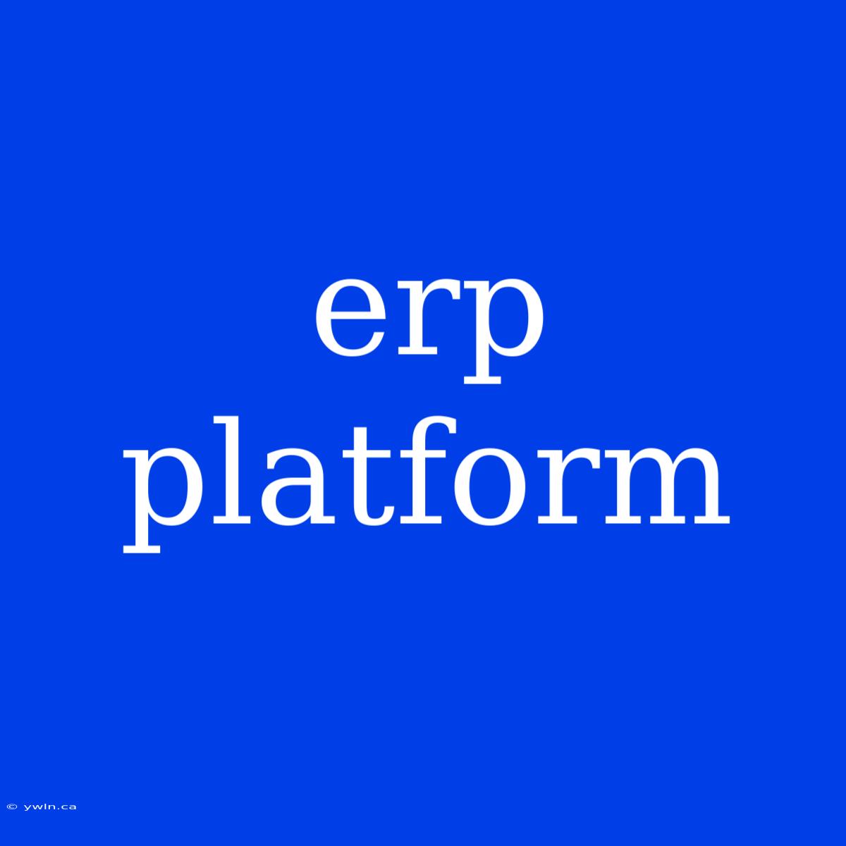 Erp Platform