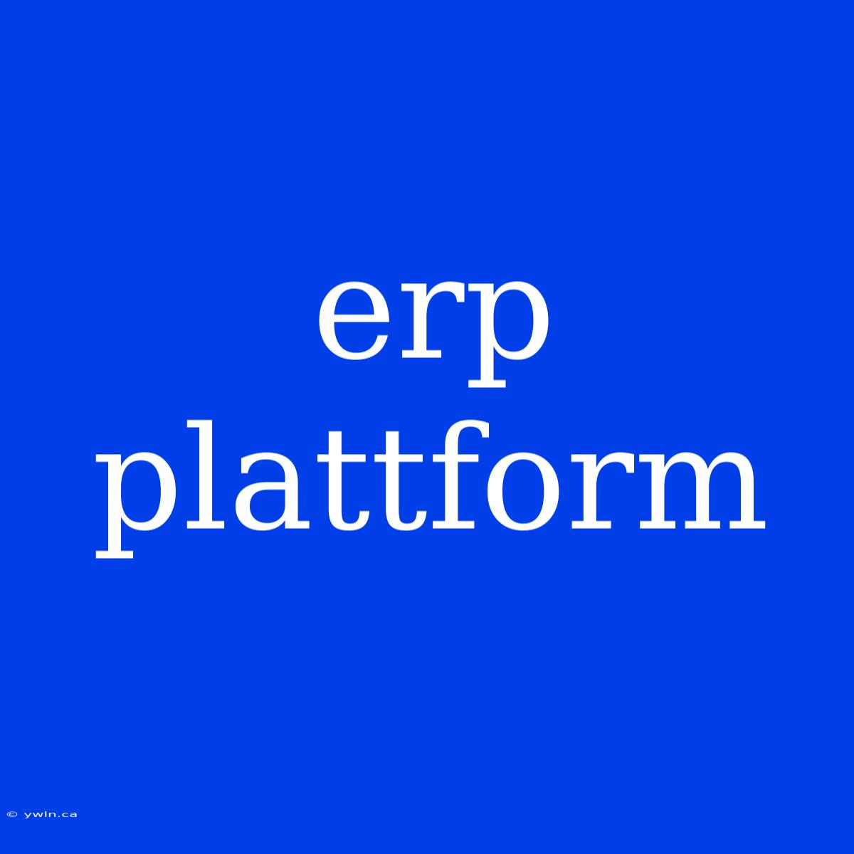 Erp Plattform