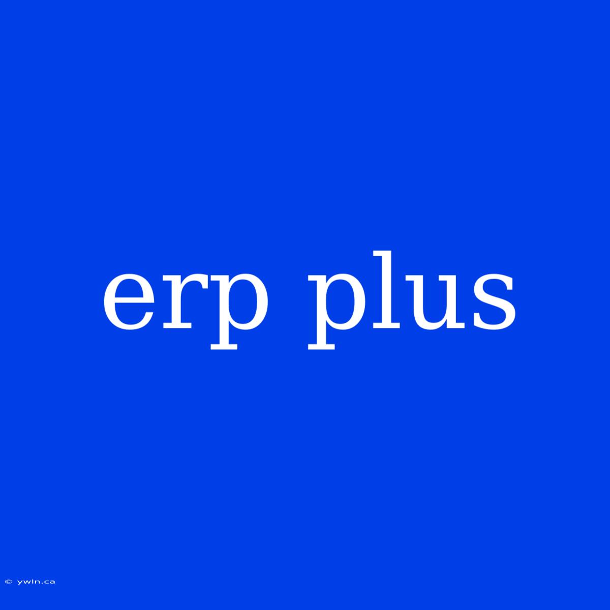 Erp Plus