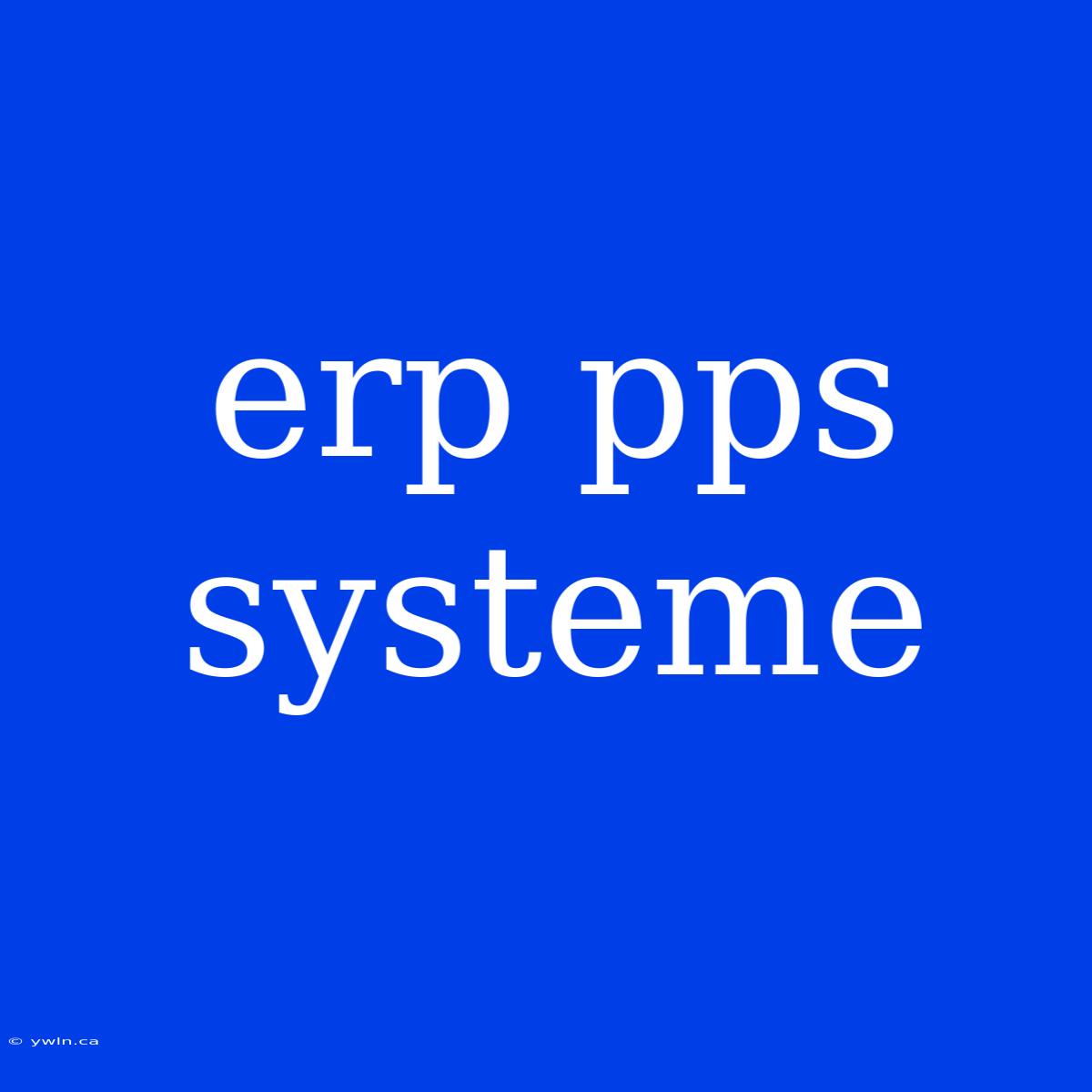 Erp Pps Systeme