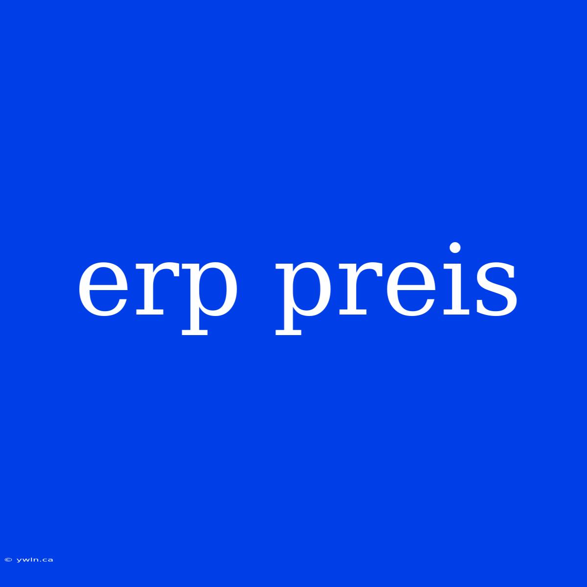 Erp Preis