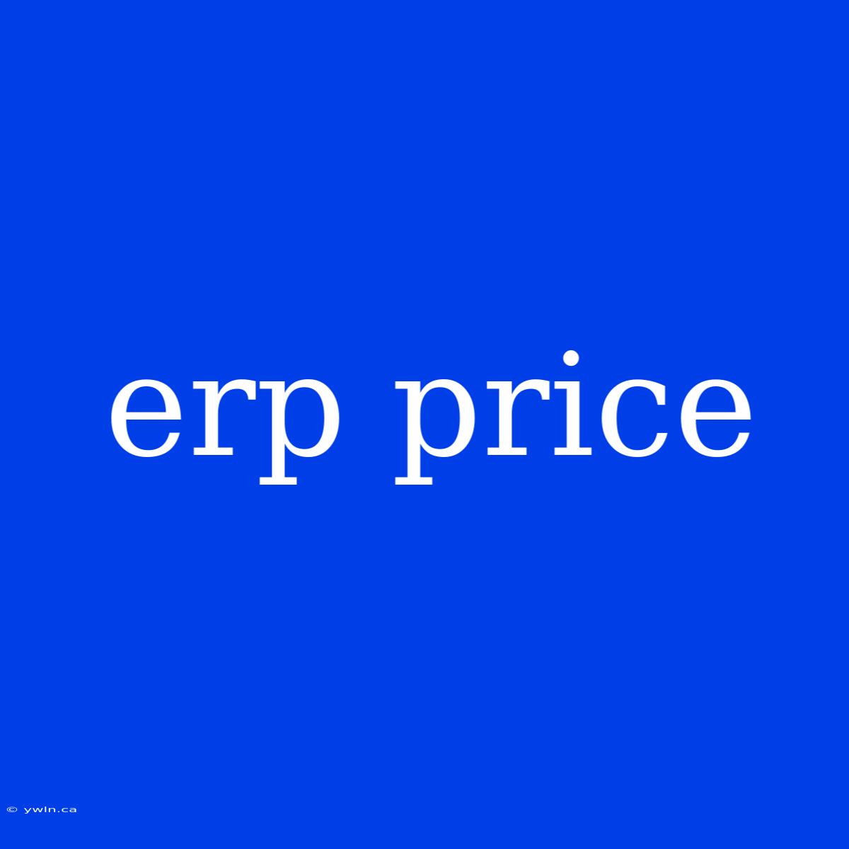 Erp Price