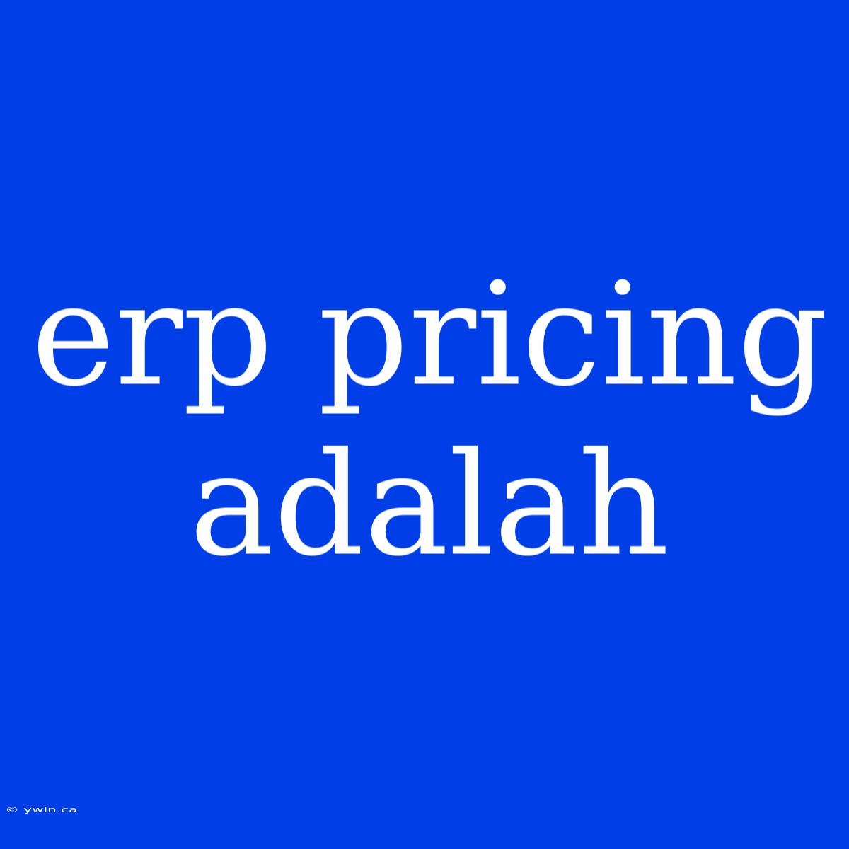 Erp Pricing Adalah