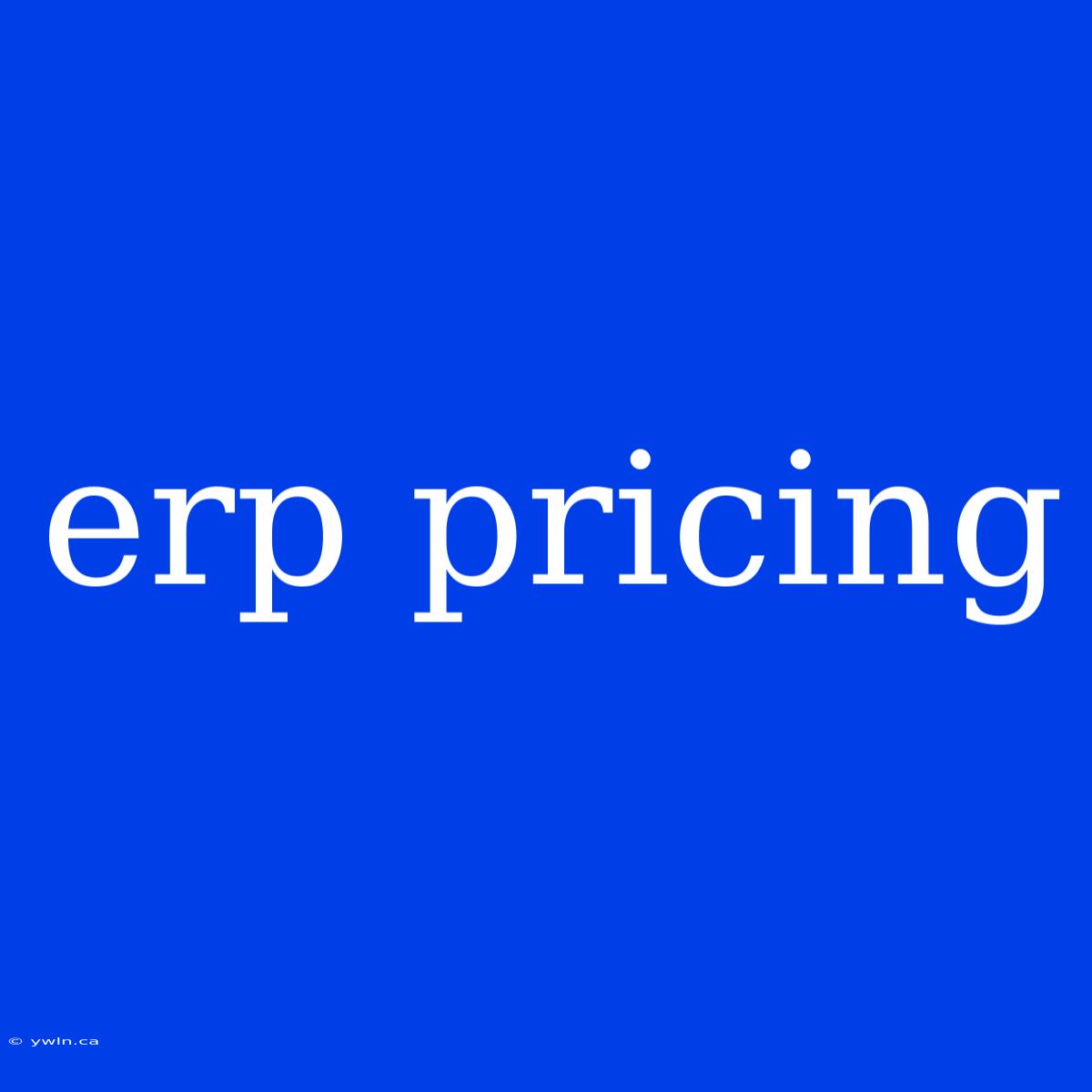 Erp Pricing