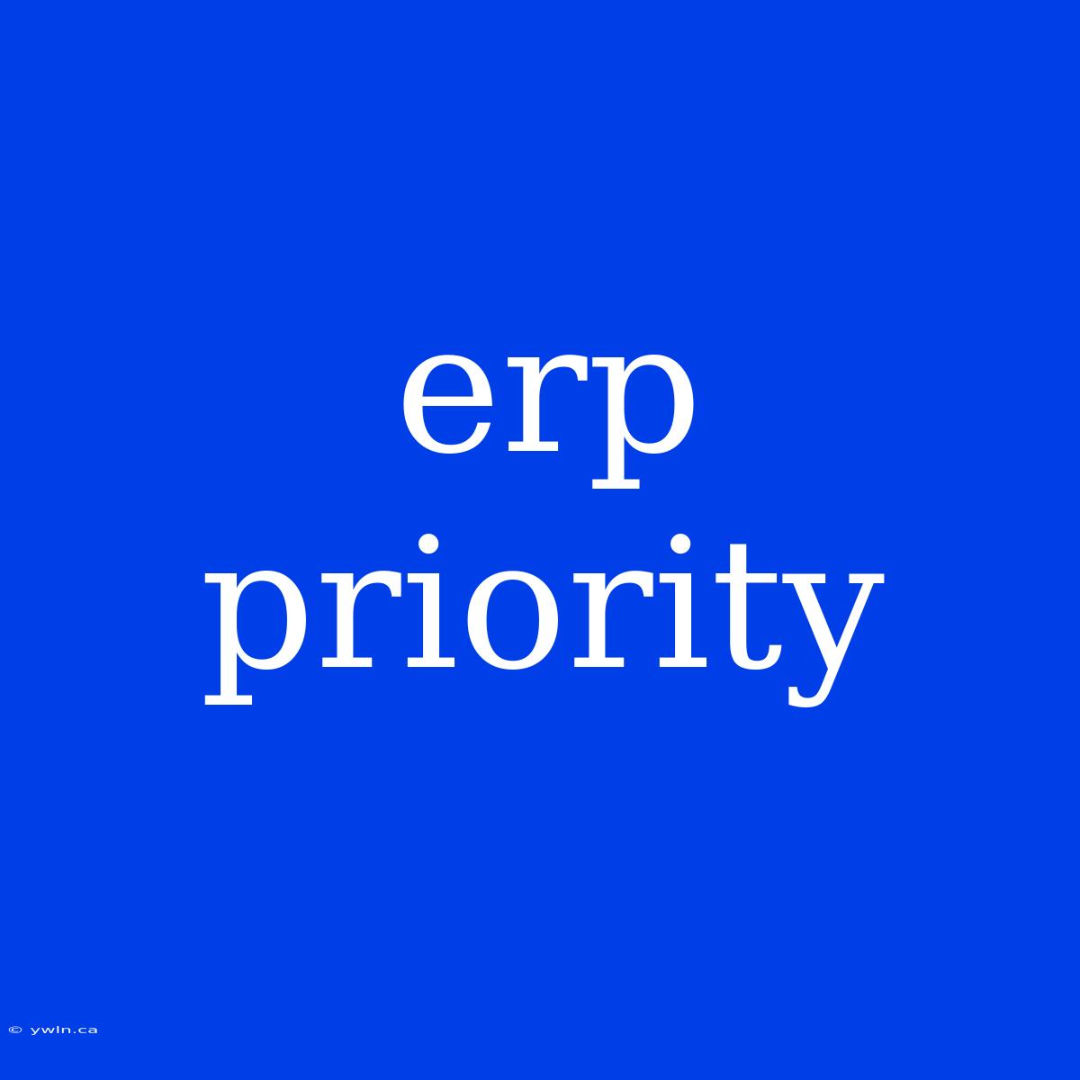 Erp Priority