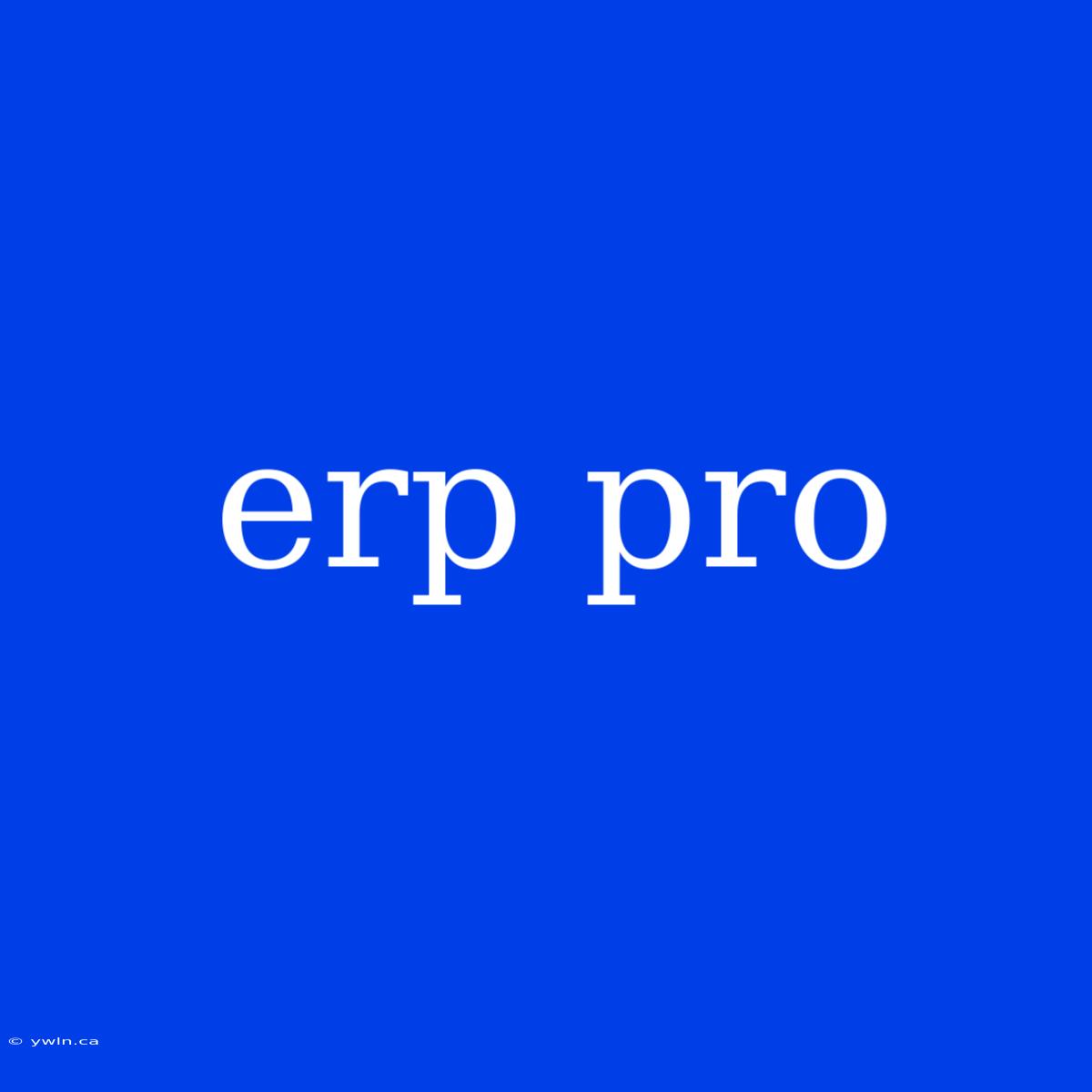 Erp Pro