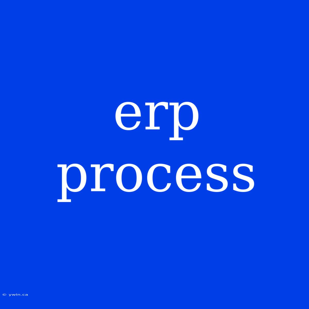 Erp Process