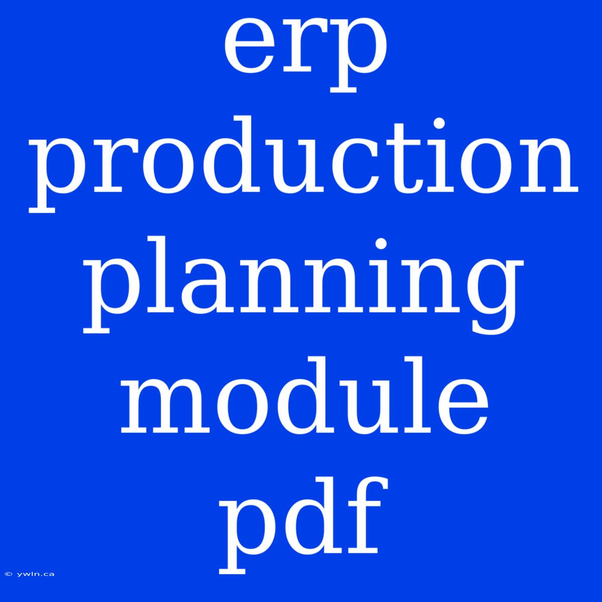 Erp Production Planning Module Pdf