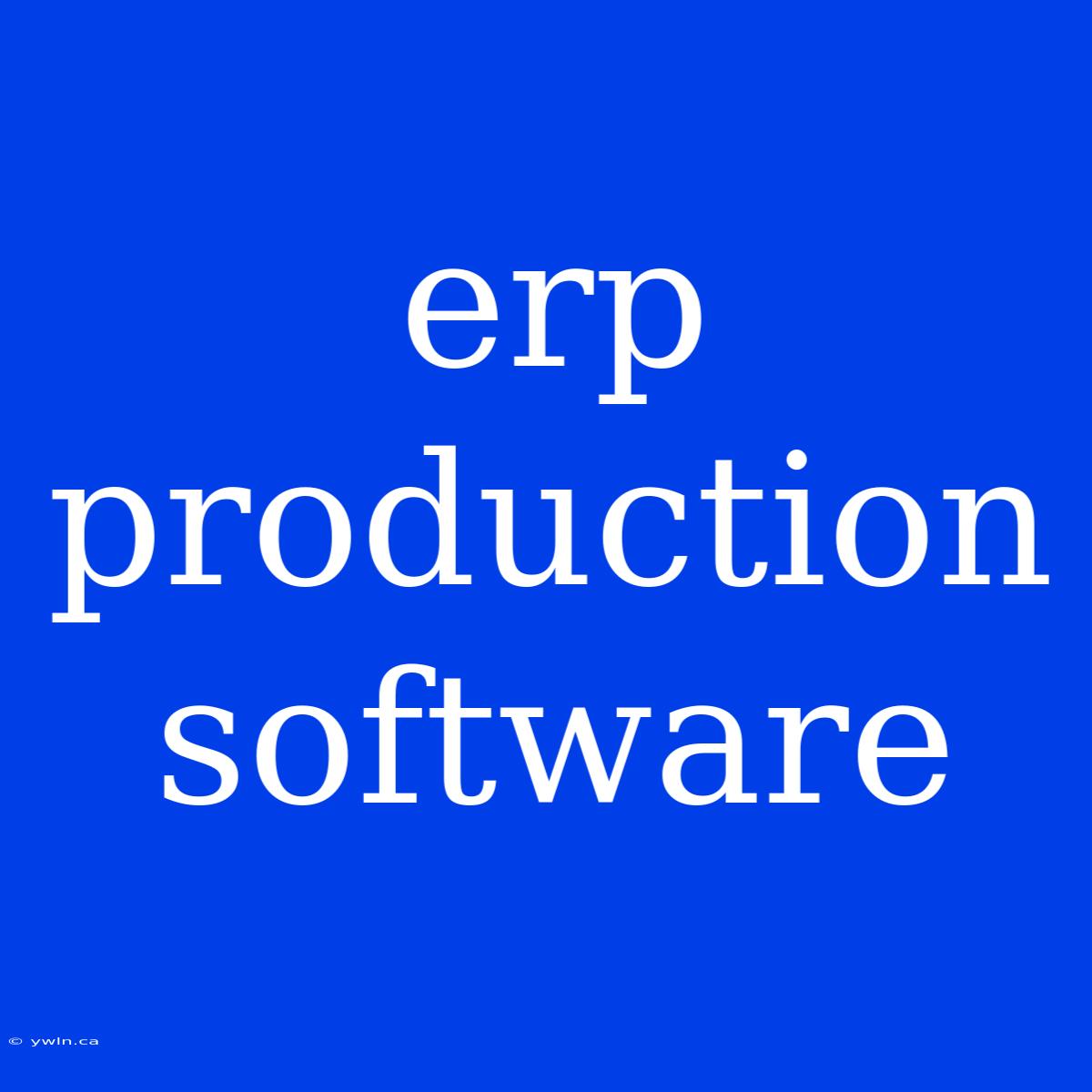 Erp Production Software