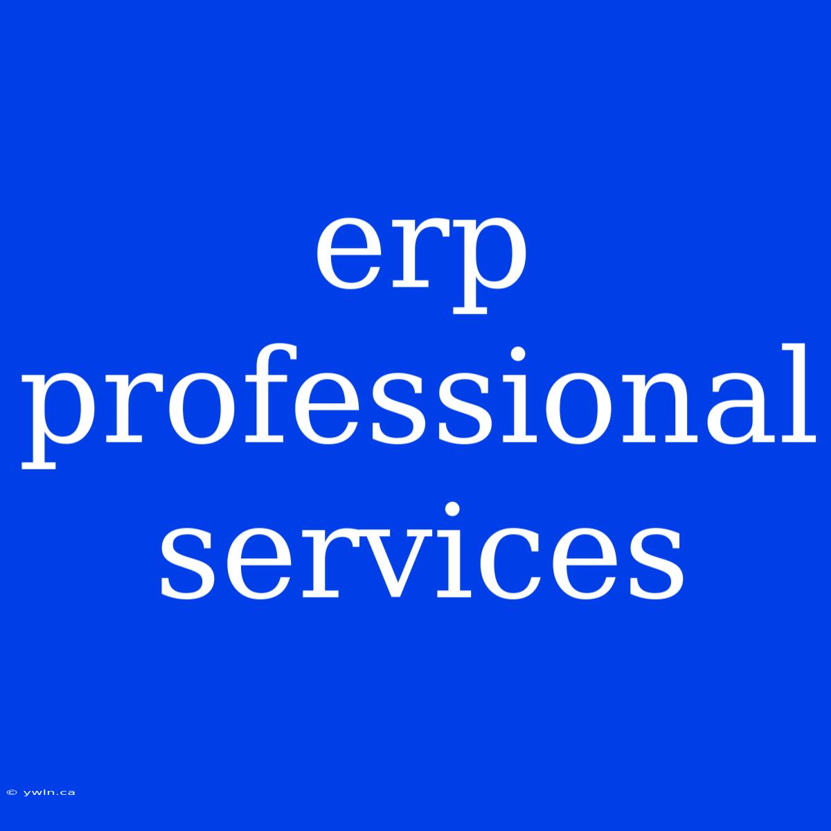 Erp Professional Services