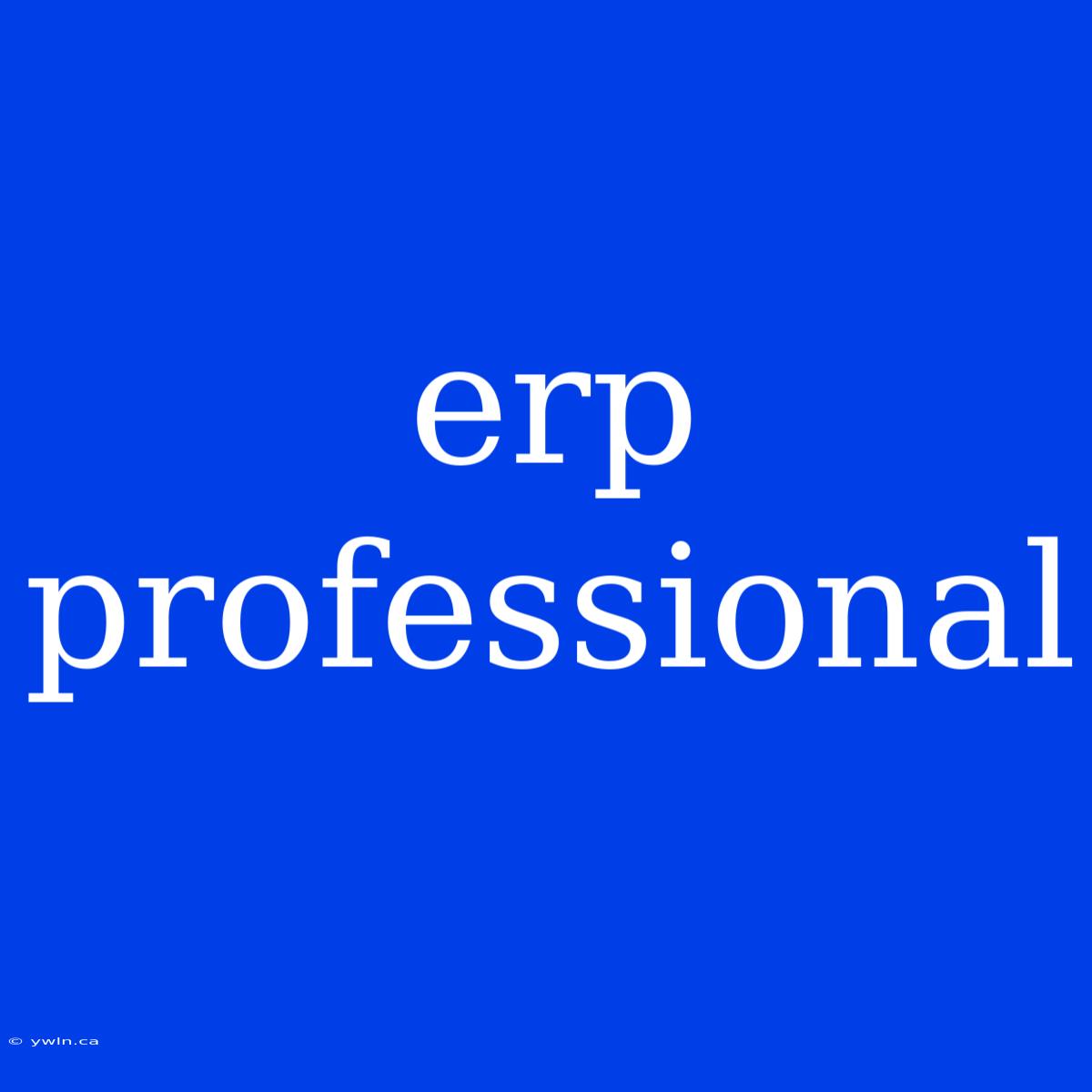 Erp Professional