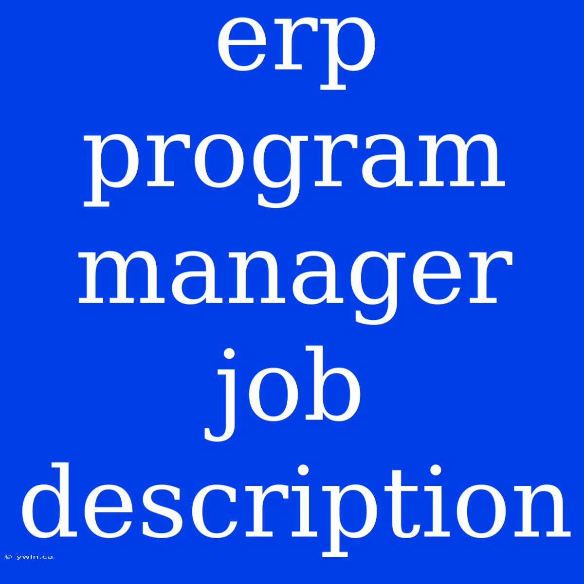 Erp Program Manager Job Description