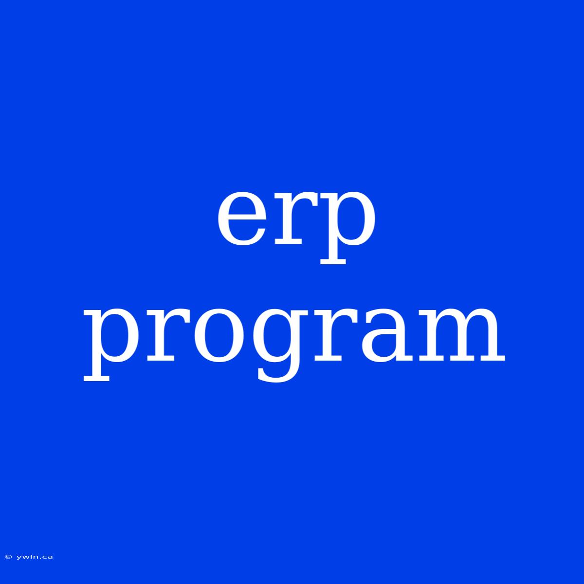 Erp Program