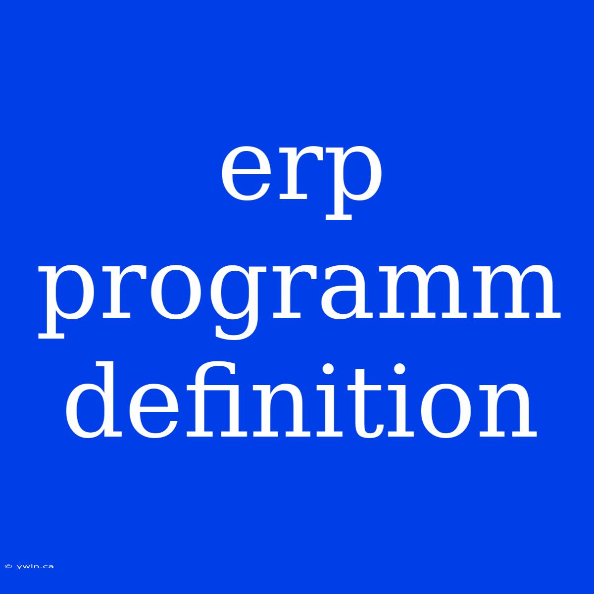 Erp Programm Definition