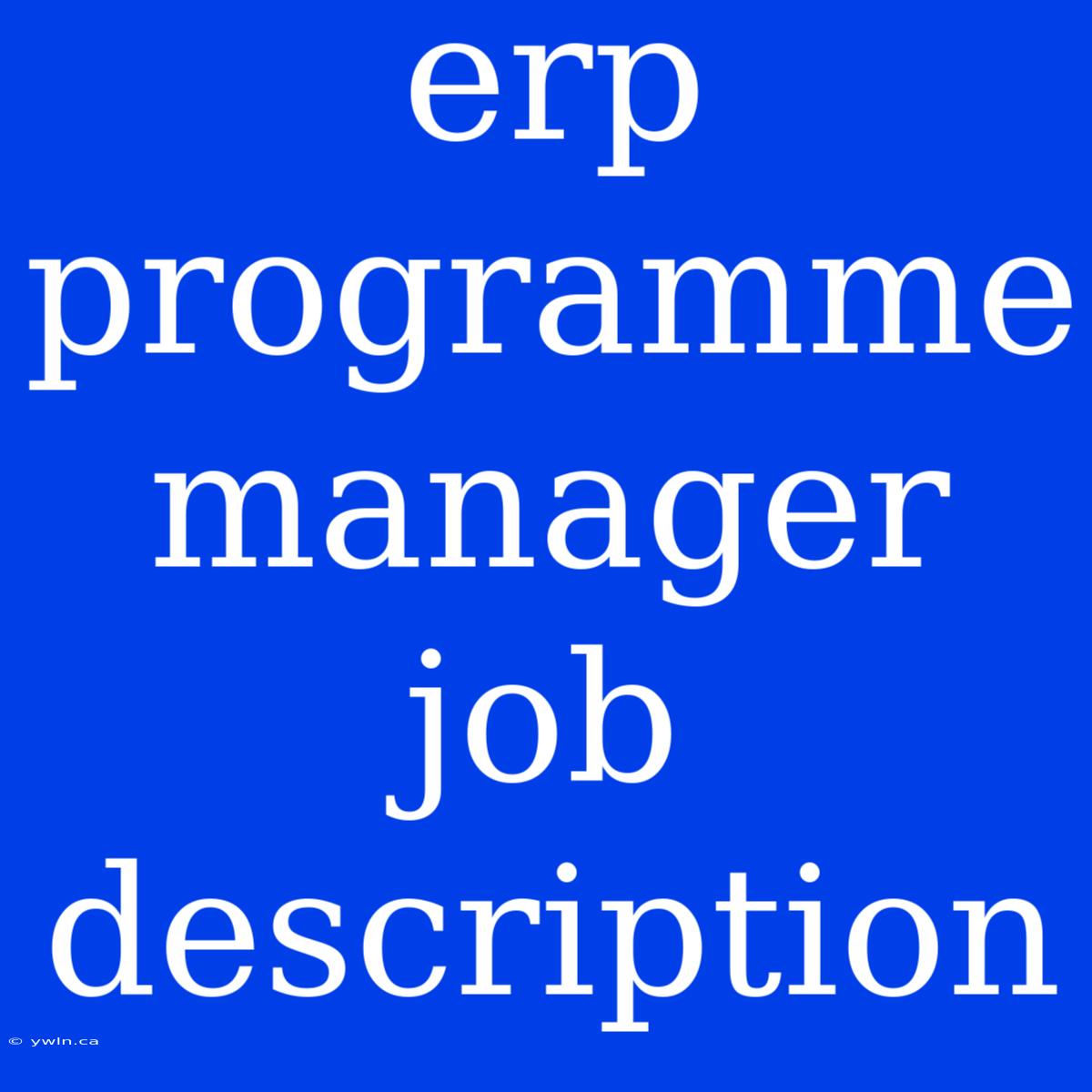 Erp Programme Manager Job Description