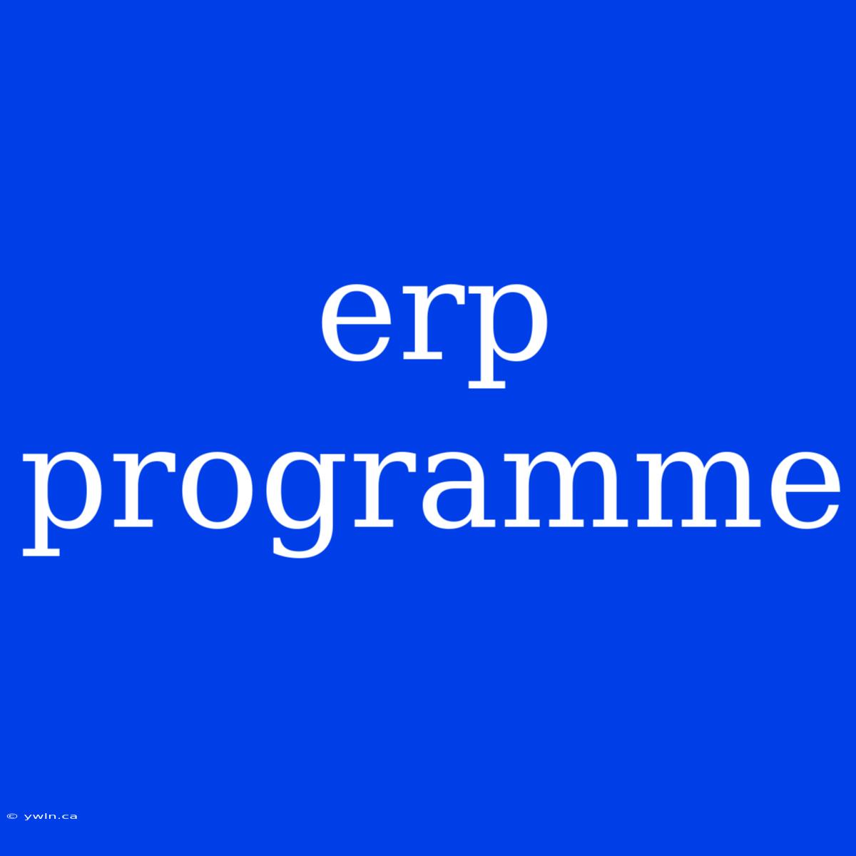 Erp Programme