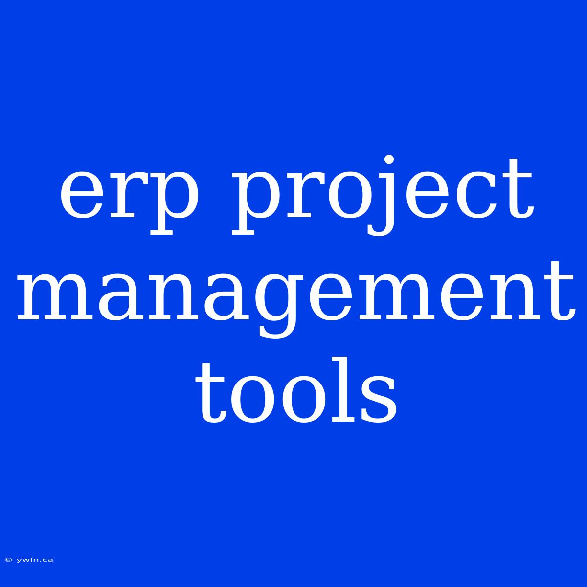 Erp Project Management Tools