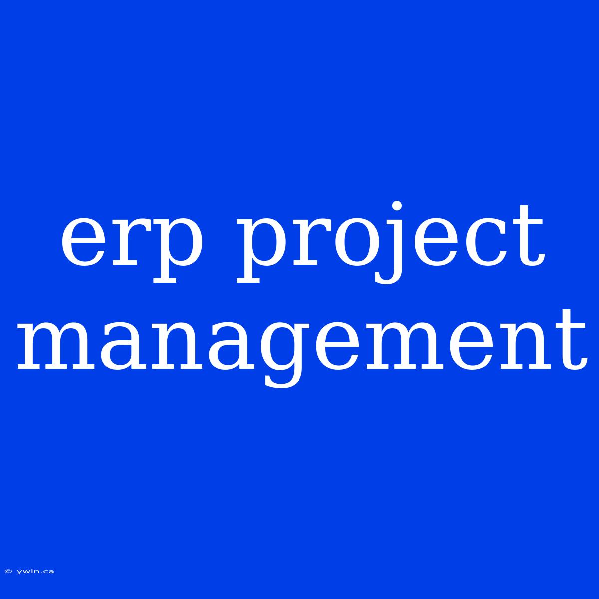 Erp Project Management