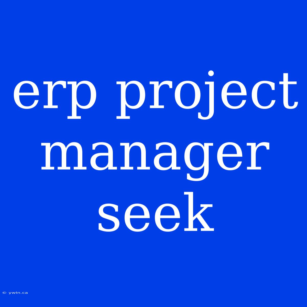 Erp Project Manager Seek