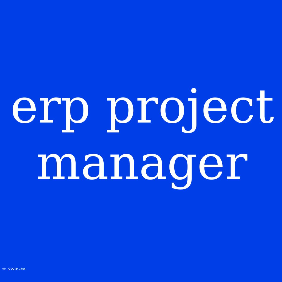 Erp Project Manager