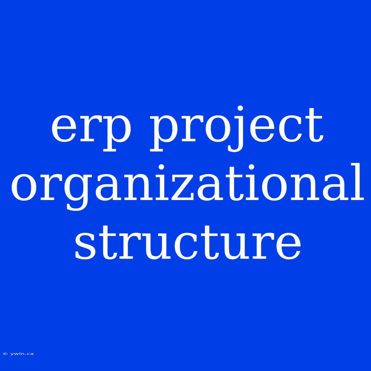 Erp Project Organizational Structure