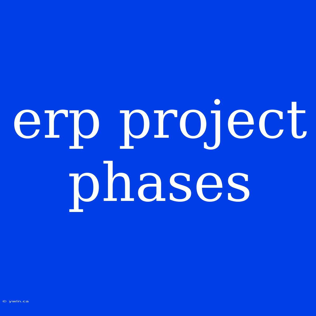 Erp Project Phases