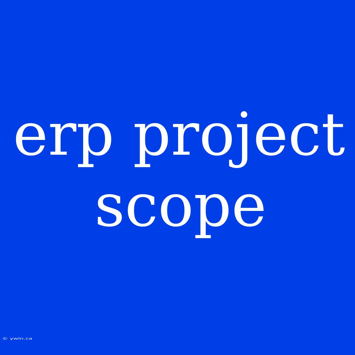 Erp Project Scope