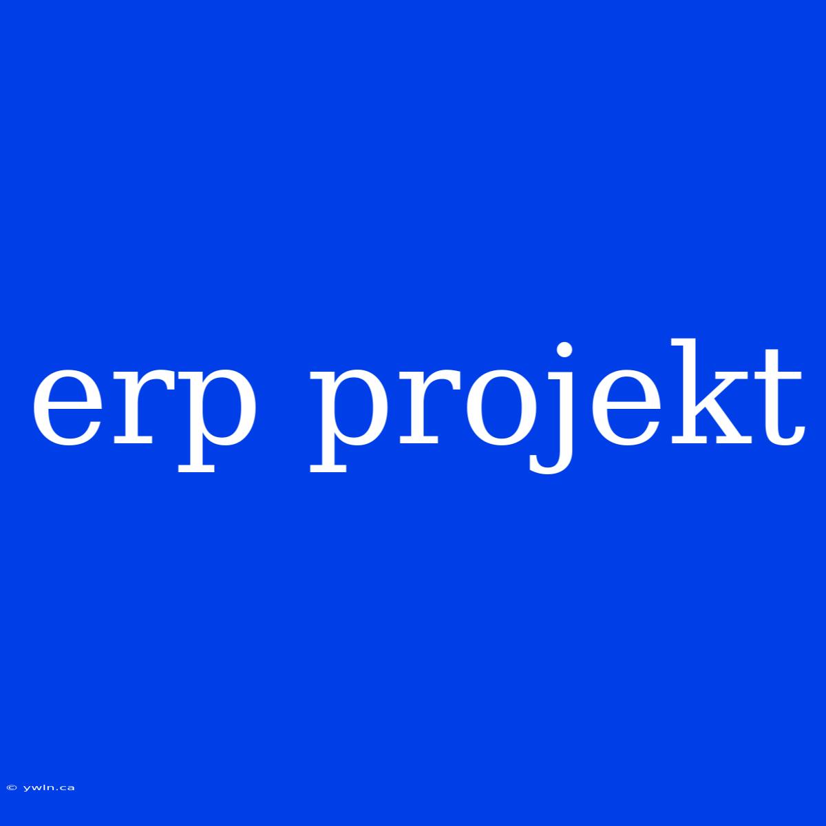 Erp Projekt