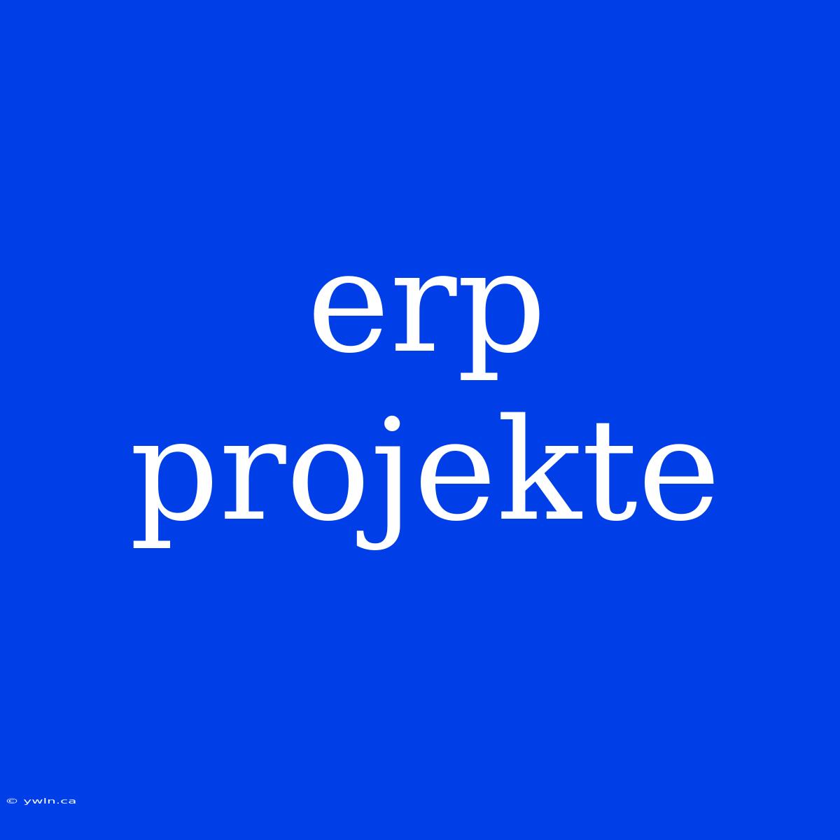 Erp Projekte