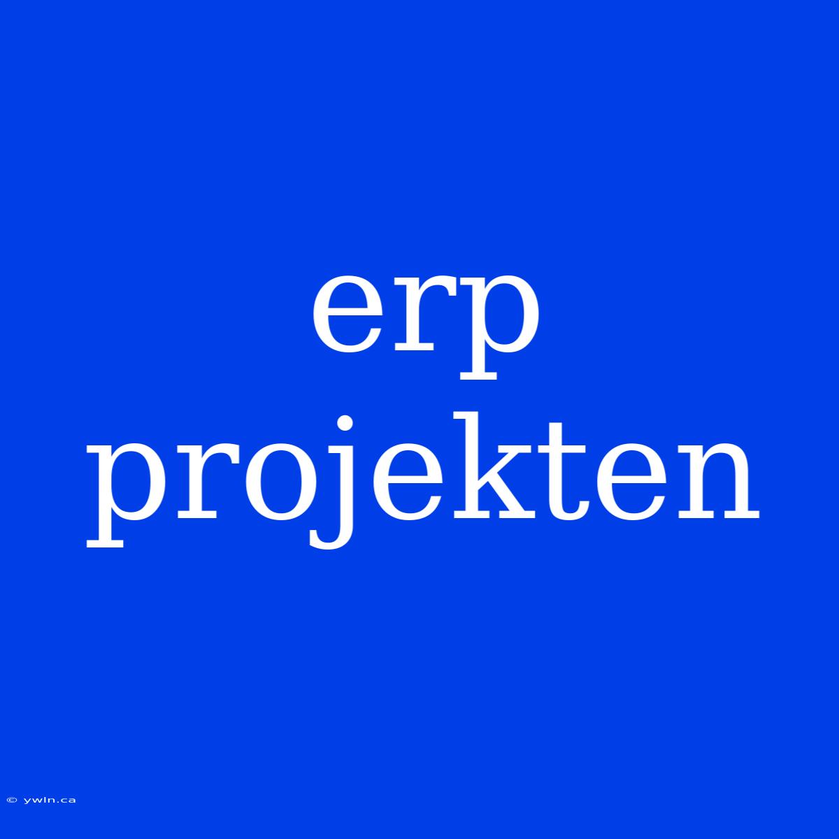 Erp Projekten