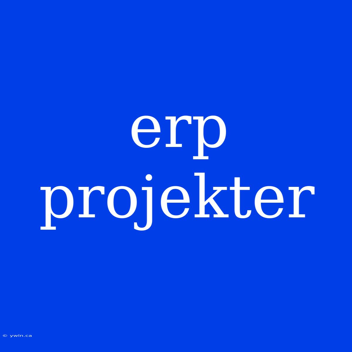 Erp Projekter