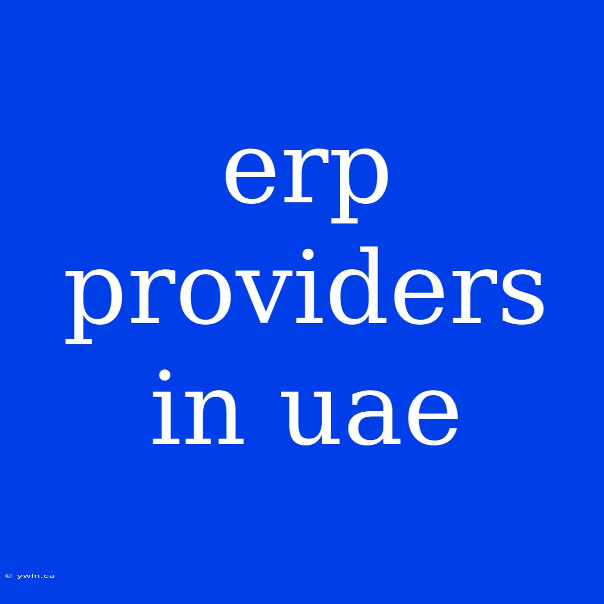 Erp Providers In Uae