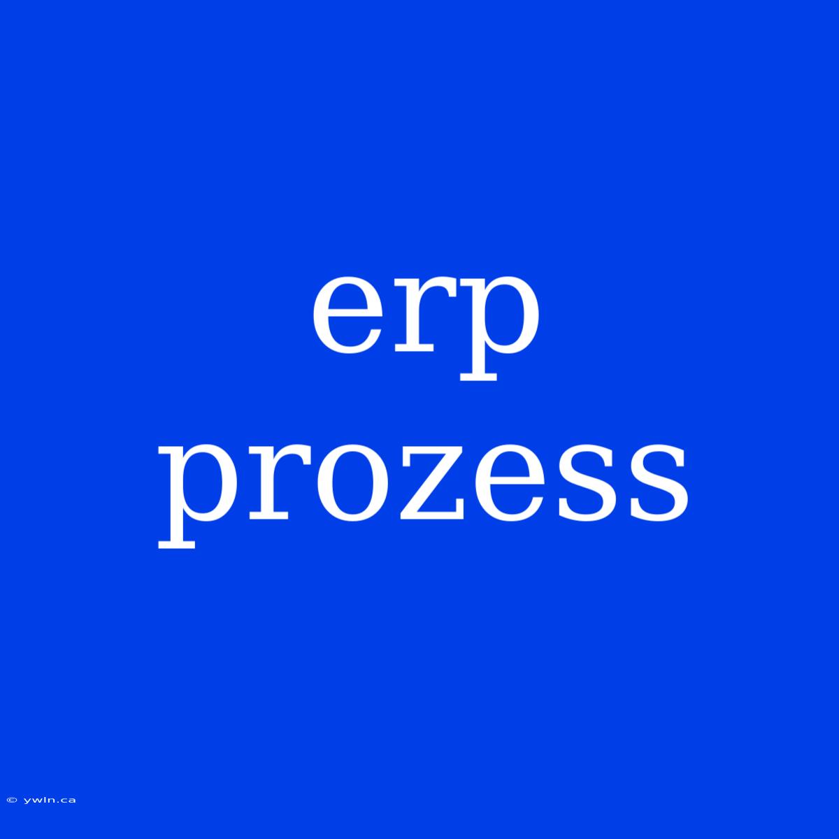 Erp Prozess