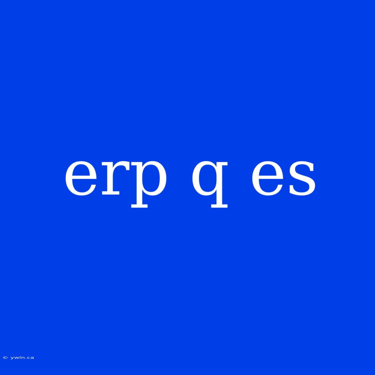 Erp Q Es