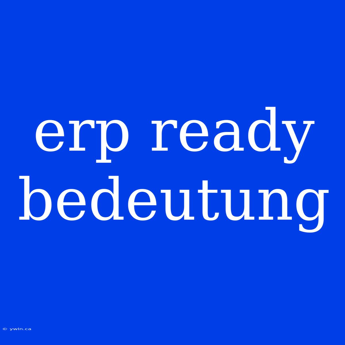 Erp Ready Bedeutung