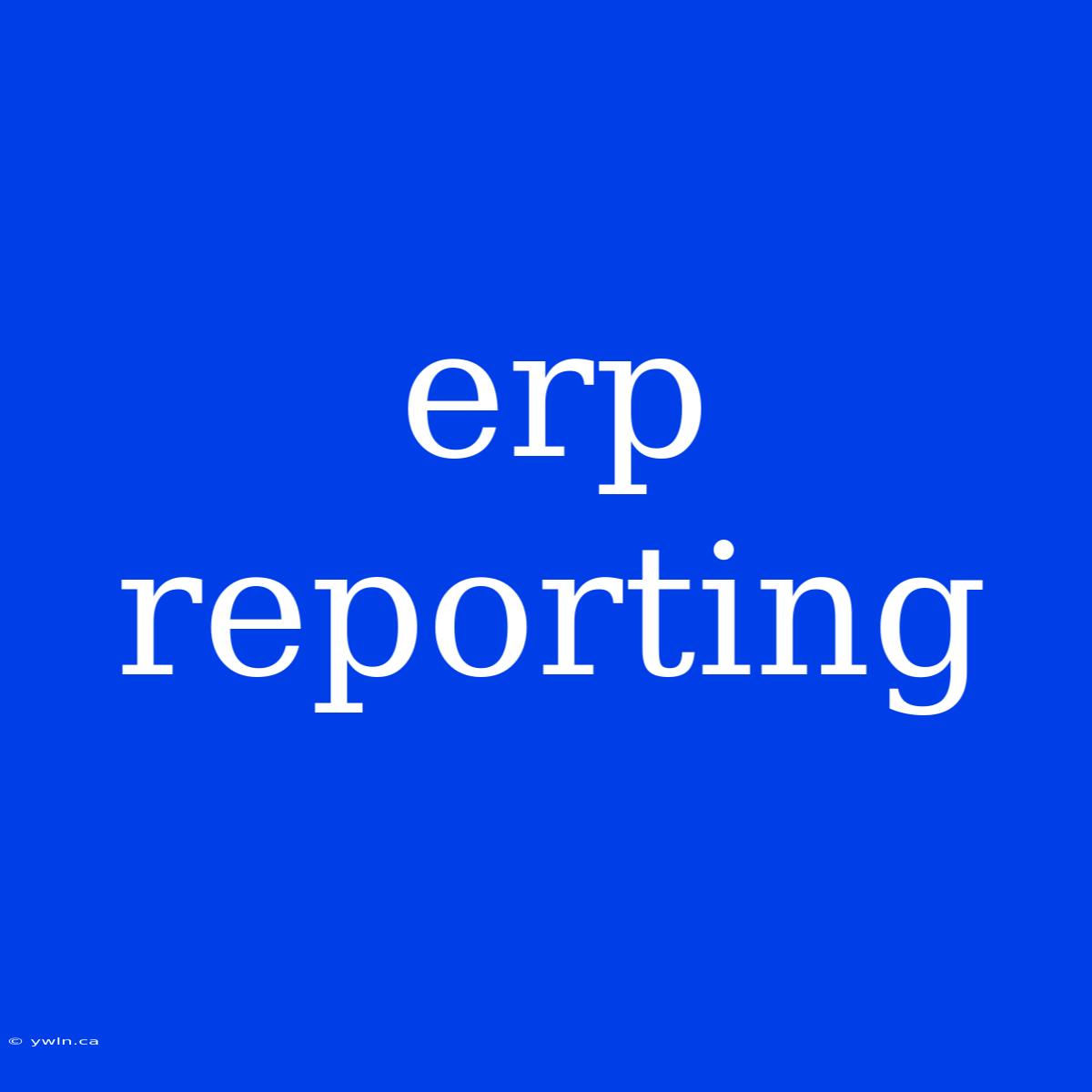 Erp Reporting