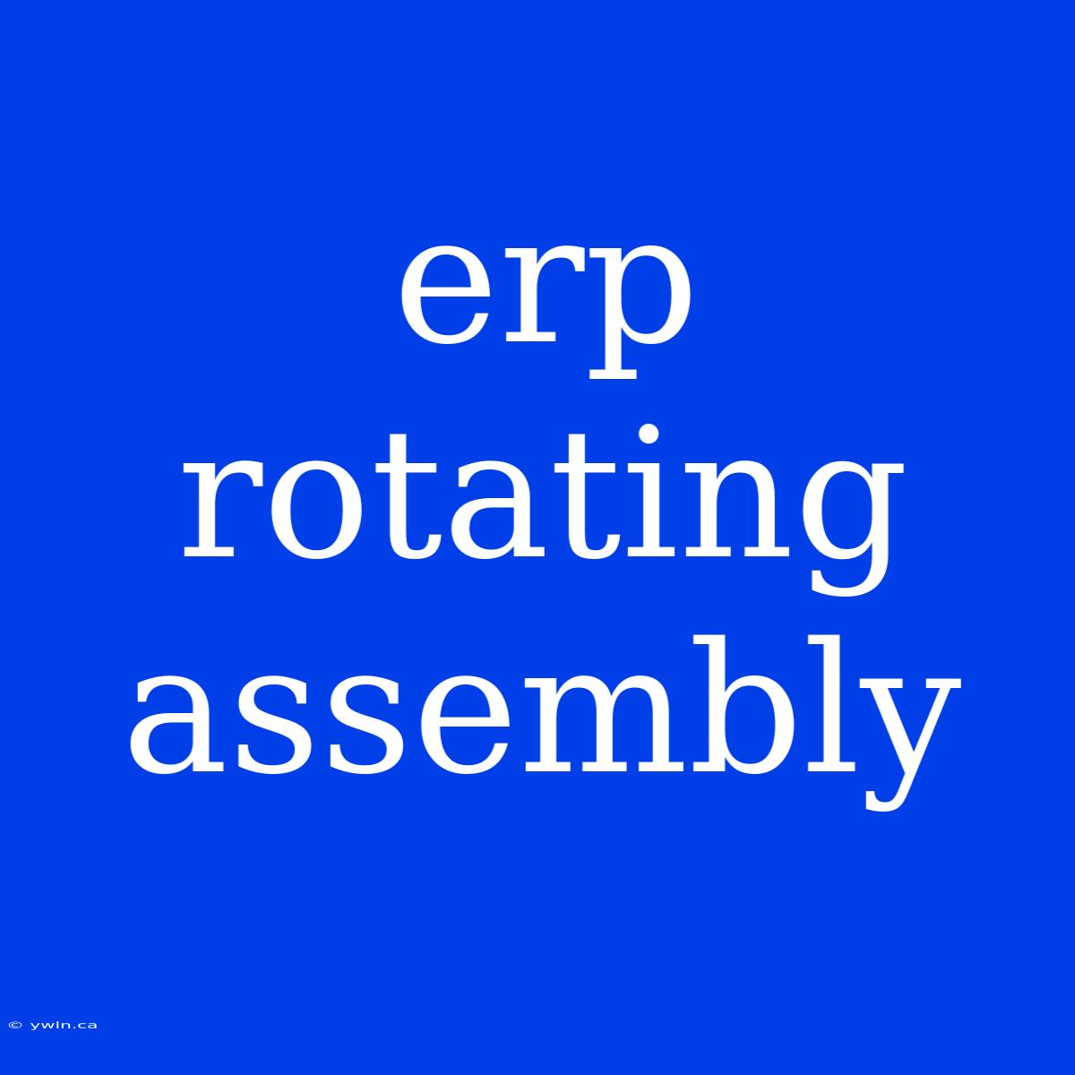 Erp Rotating Assembly