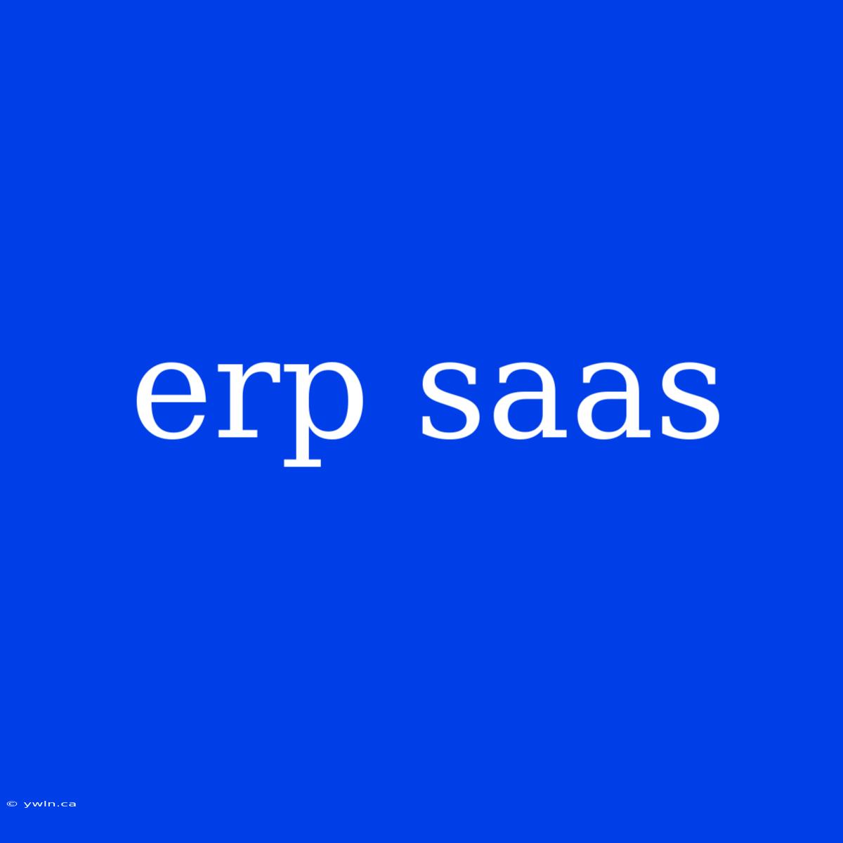 Erp Saas