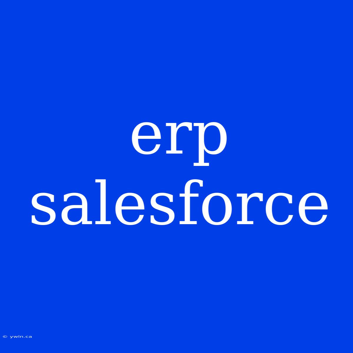 Erp Salesforce