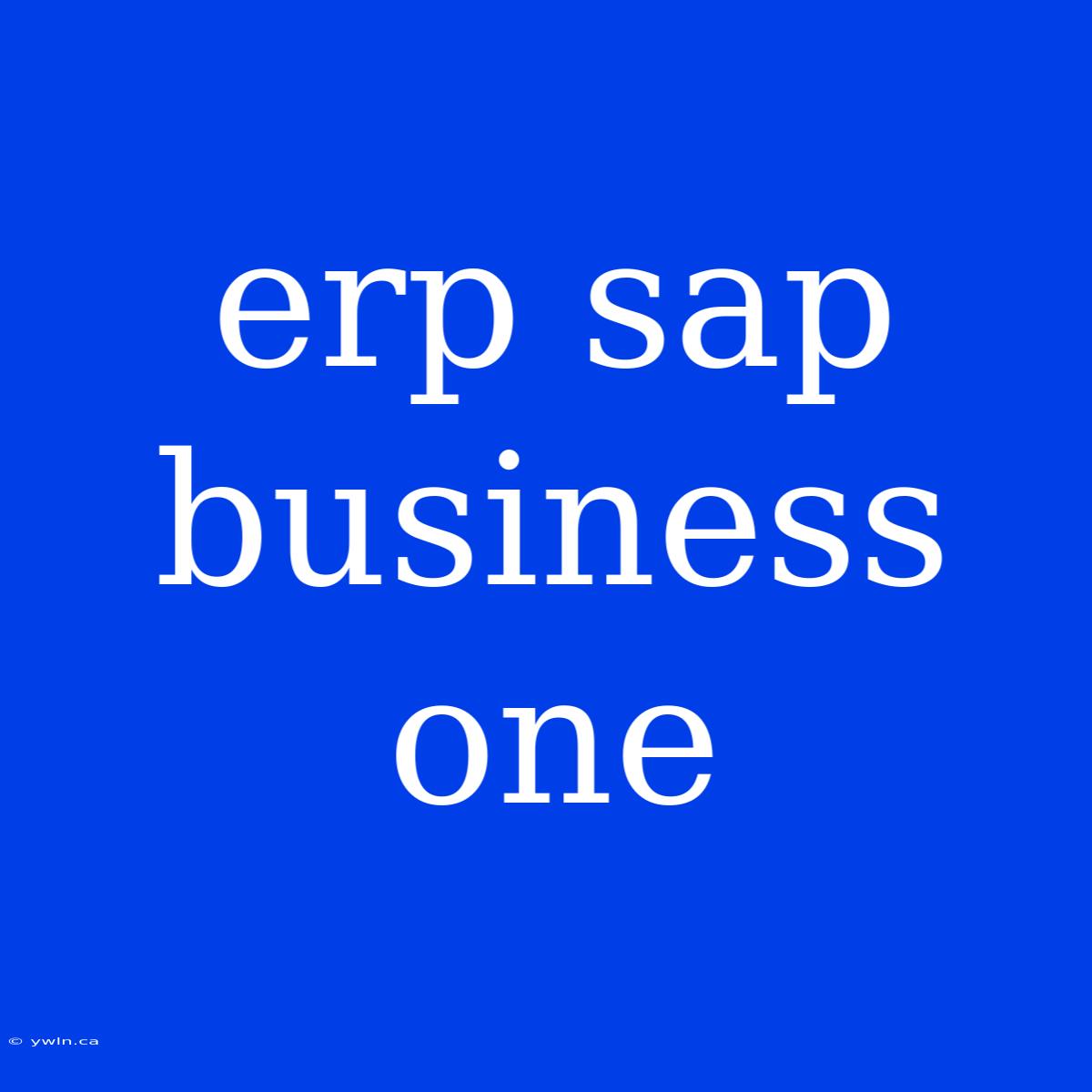 Erp Sap Business One