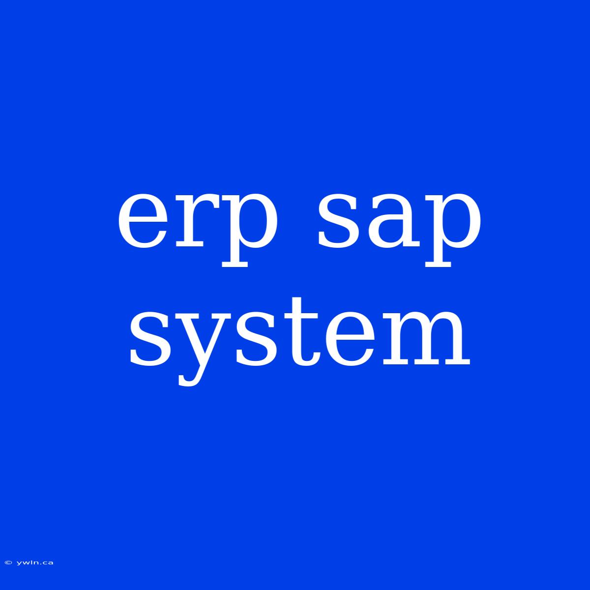 Erp Sap System