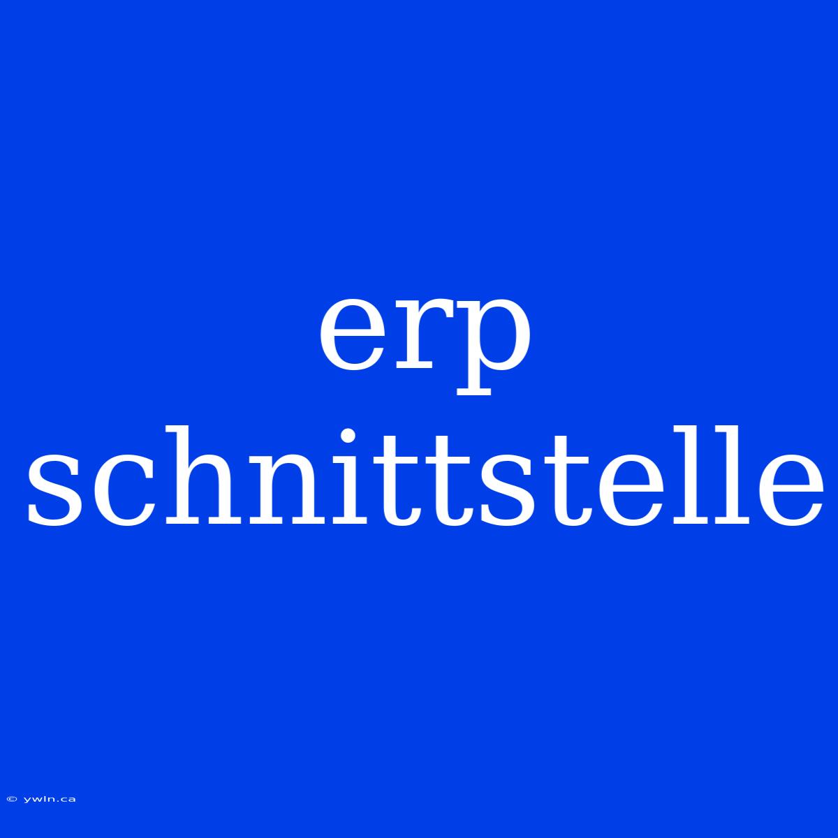 Erp Schnittstelle