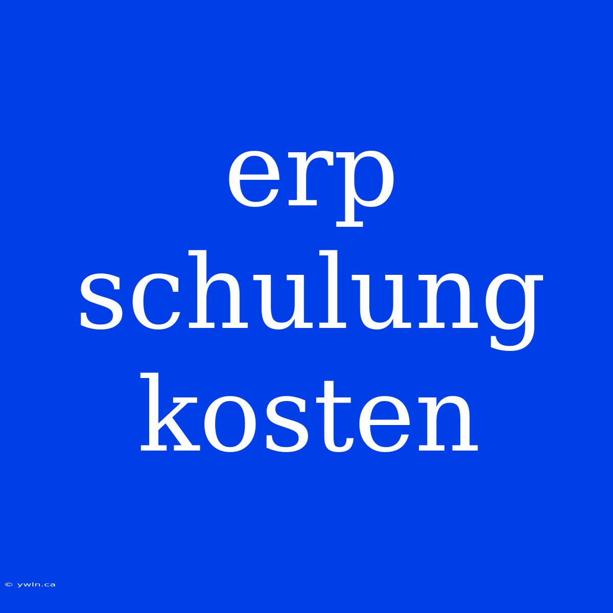 Erp Schulung Kosten