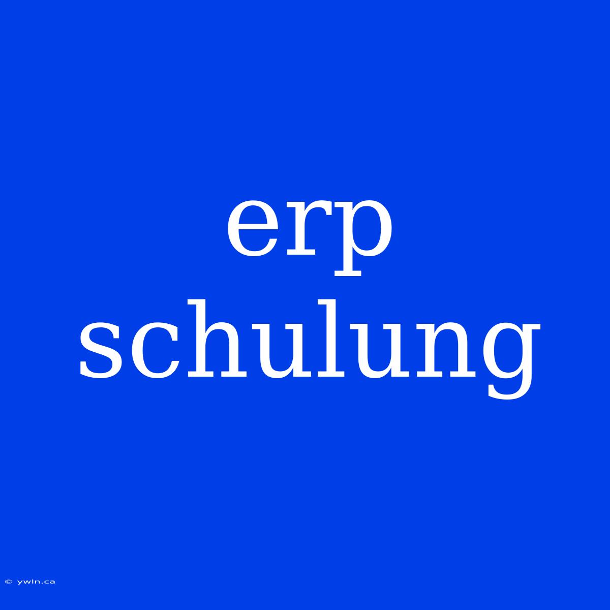 Erp Schulung