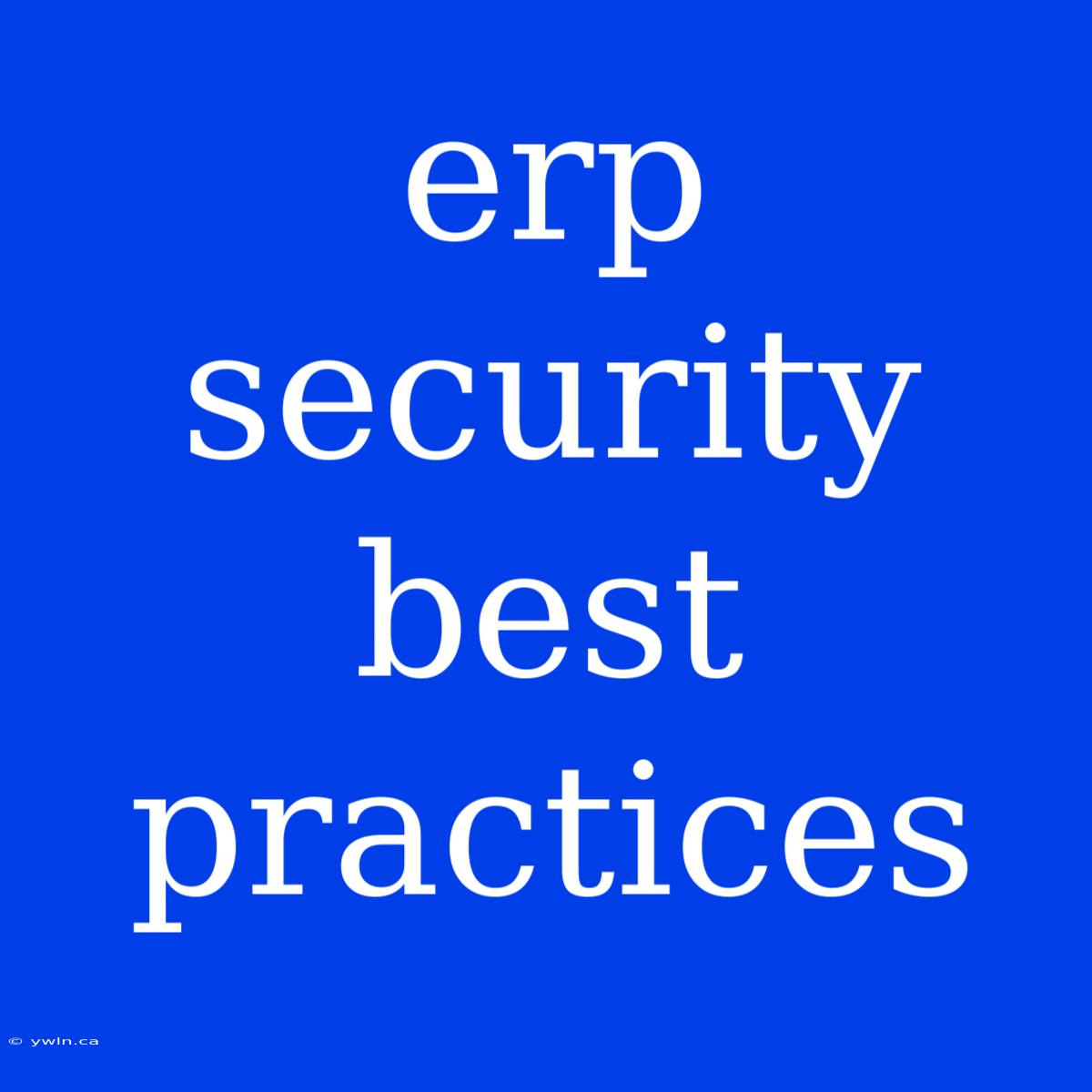 Erp Security Best Practices