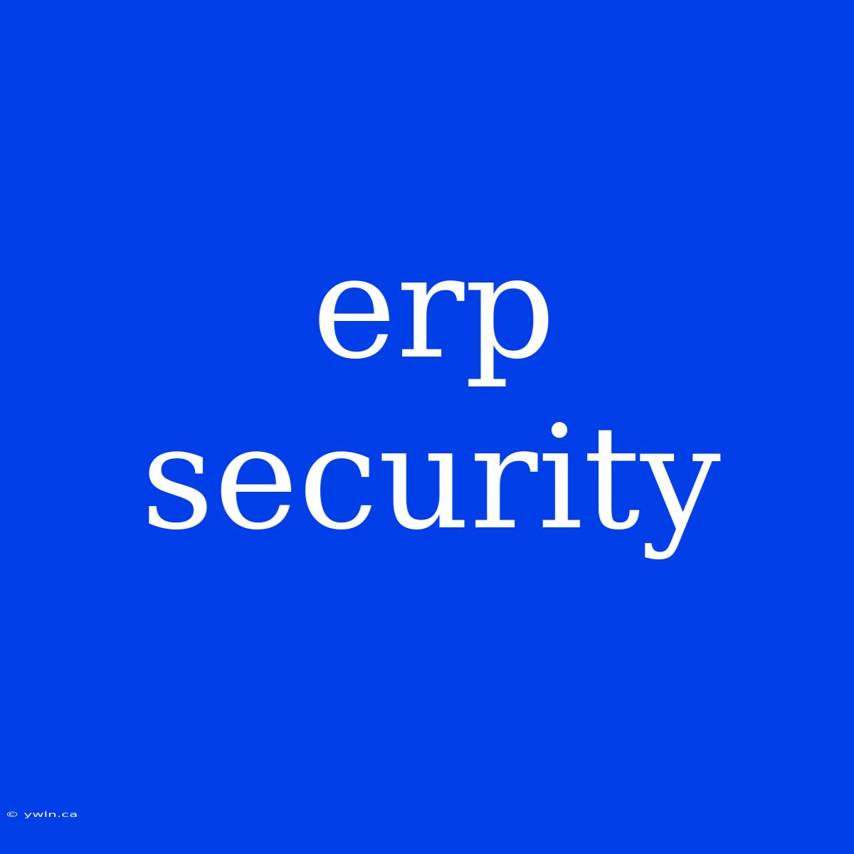 Erp Security